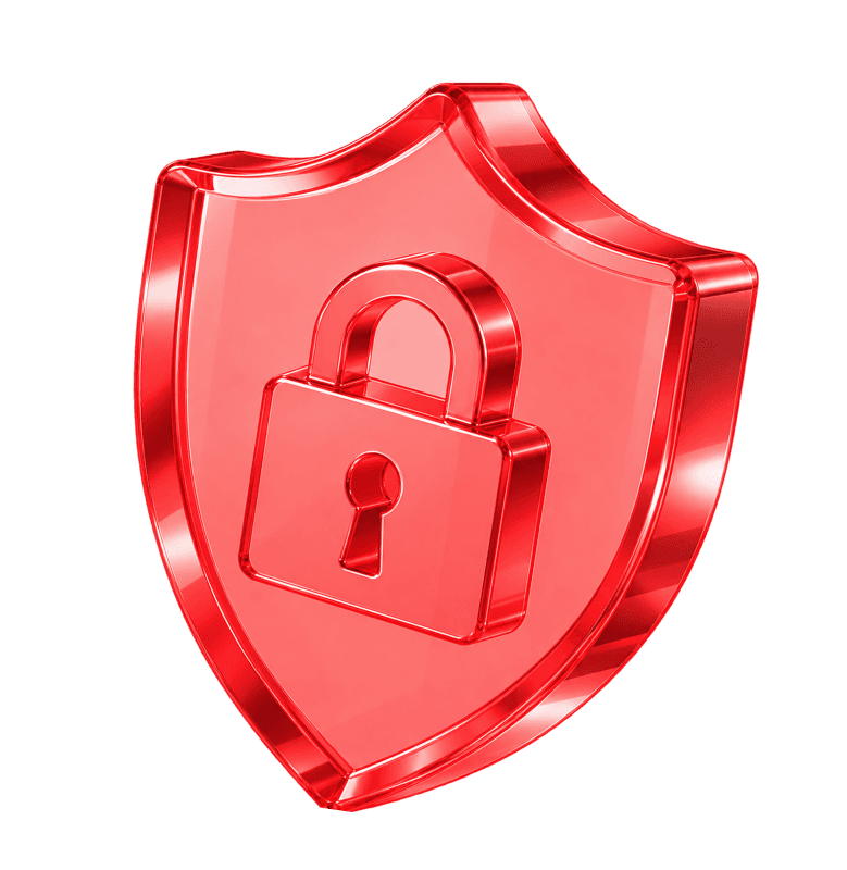 Cybersecurity Specialist